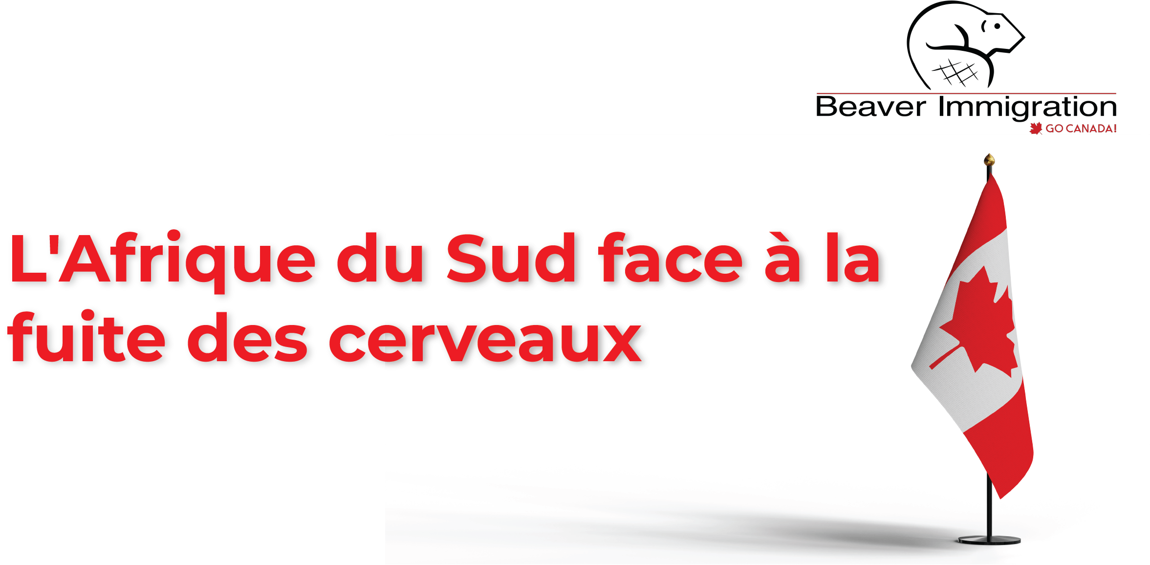 L’Afrique du Sud face à la fuite des cerveaux