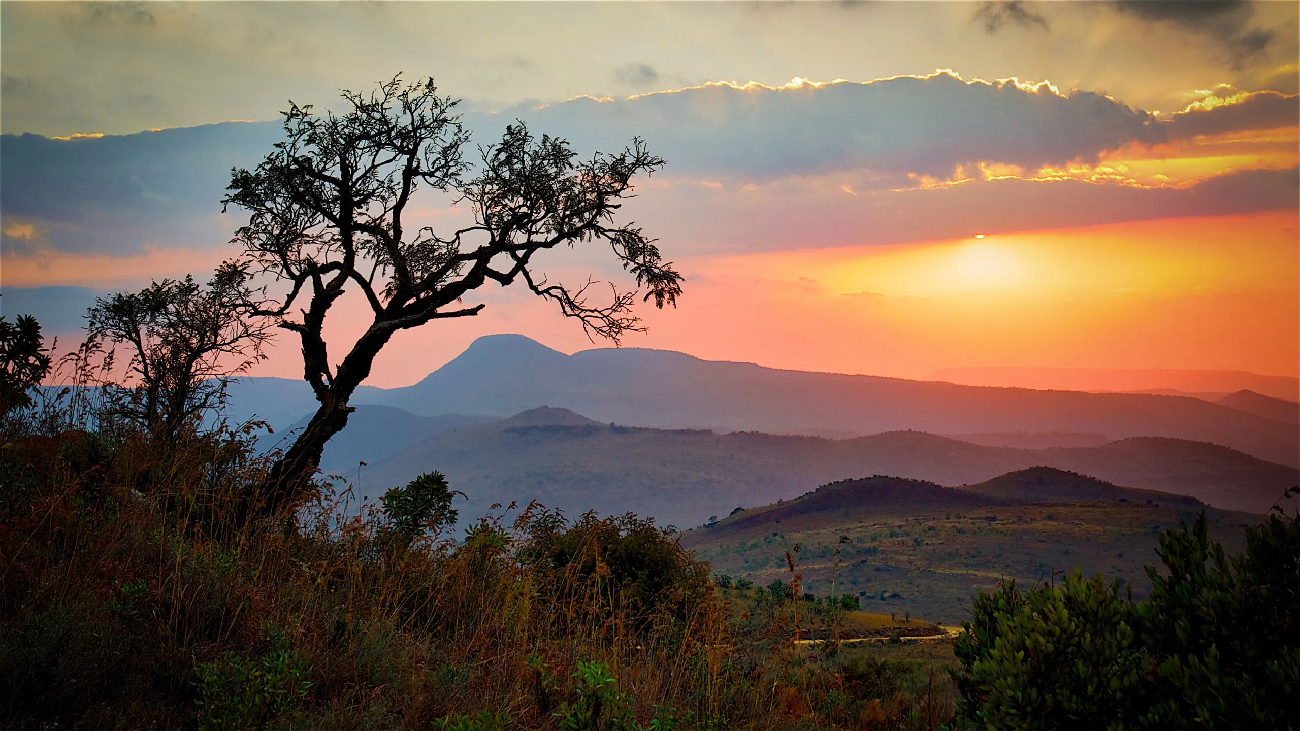 South Africa Immigration Weekly Update