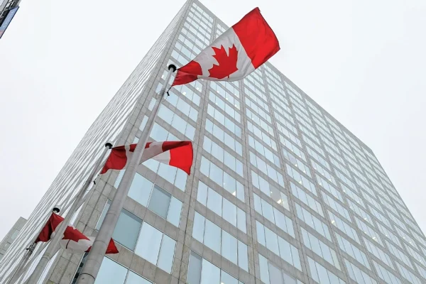 beaver_immigration_business_immigration